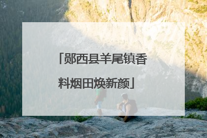 郧西县羊尾镇香料烟田焕新颜