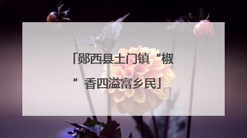 郧西县土门镇“椒”香四溢富乡民