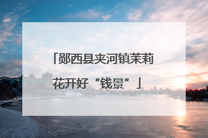 郧西县夹河镇茉莉花开好“钱景”