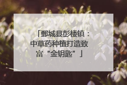 鄄城县彭楼镇：中草药种植打造致富“金钥匙”