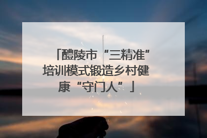 醴陵市“三精准”培训模式锻造乡村健康“守门人”
