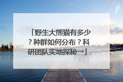 野生大熊猫有多少？种群如何分布？科研团队实地探秘→