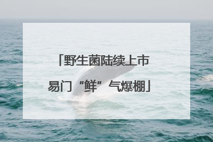 野生菌陆续上市 易门“鲜”气爆棚