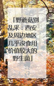 野蘑菇别乱采：西安及周边地区几乎没食用价值较大的野生菌