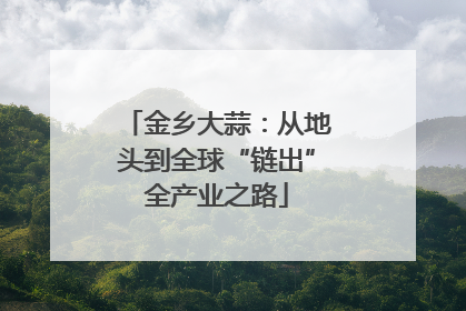 金乡大蒜：从地头到全球“链出”全产业之路
