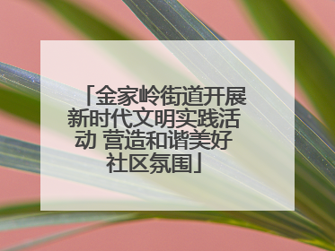 金家岭街道开展新时代文明实践活动 营造和谐美好社区氛围