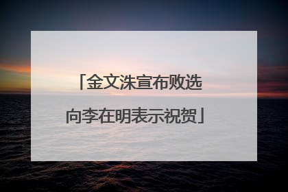 金文洙宣布败选 向李在明表示祝贺