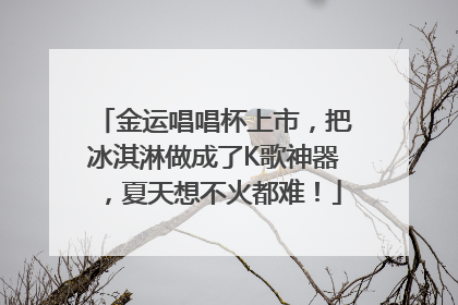 金运唱唱杯上市，把冰淇淋做成了K歌神器，夏天想不火都难！