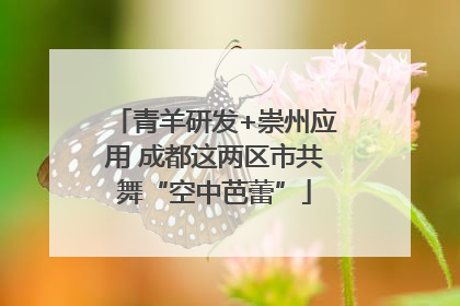 青羊研发+崇州应用 成都这两区市共舞“空中芭蕾”