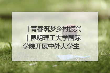 青春筑梦乡村振兴｜昆明理工大学国际学院开展中外大学生社会实践活动
