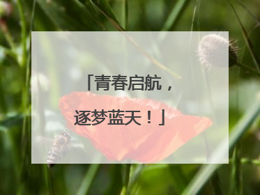 青春启航，逐梦蓝天！