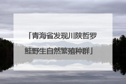 青海省发现川陕哲罗鲑野生自然繁殖种群