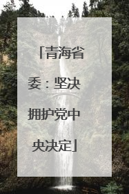 青海省委：坚决拥护党中央决定