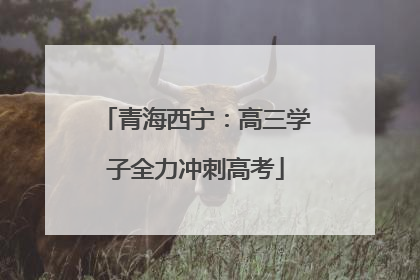 青海西宁：高三学子全力冲刺高考