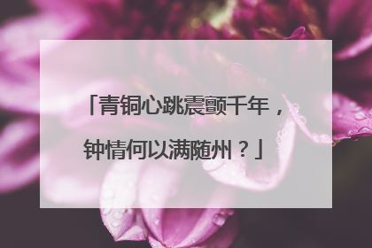 青铜心跳震颤千年，钟情何以满随州？