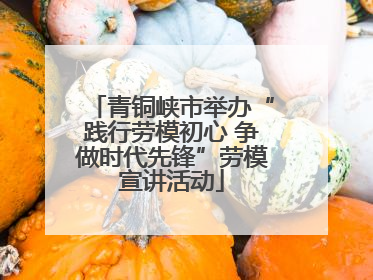 青铜峡市举办“践行劳模初心 争做时代先锋”劳模宣讲活动