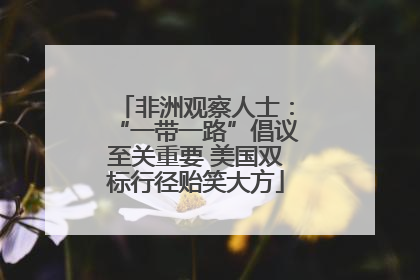 非洲观察人士：“一带一路”倡议至关重要 美国双标行径贻笑大方