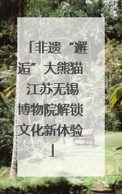 非遗“邂逅”大熊猫 江苏无锡博物院解锁文化新体验