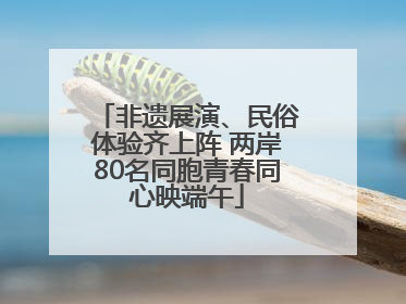 非遗展演、民俗体验齐上阵 两岸80名同胞青春同心映端午