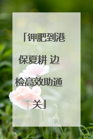 钾肥到港保夏耕 边检高效助通关