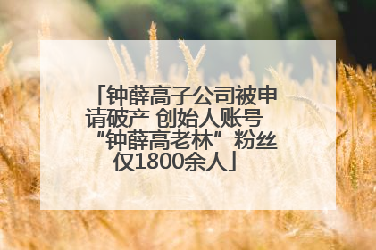 钟薛高子公司被申请破产 创始人账号“钟薛高老林”粉丝仅1800余人