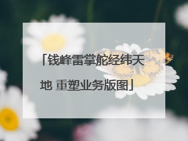 钱峰雷掌舵经纬天地 重塑业务版图