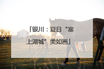 银川：夏日“塞上湖城”美如画