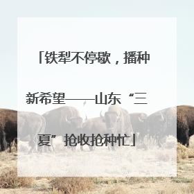 铁犁不停歇，播种新希望——山东“三夏”抢收抢种忙