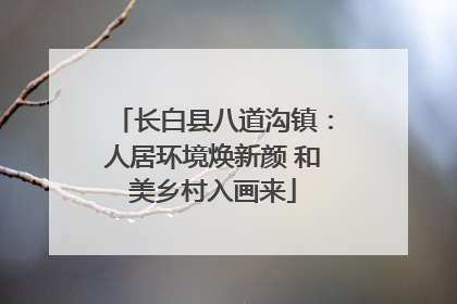 长白县八道沟镇：人居环境焕新颜 和美乡村入画来