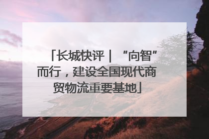 长城快评｜“向智”而行，建设全国现代商贸物流重要基地
