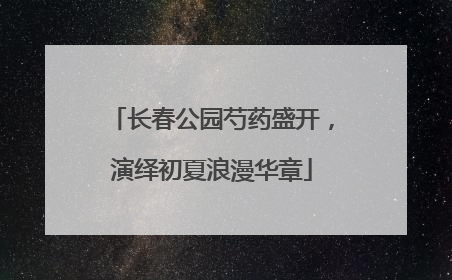 长春公园芍药盛开，演绎初夏浪漫华章