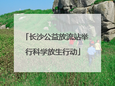 长沙公益放流站举行科学放生行动