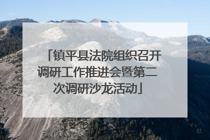 镇平县法院组织召开调研工作推进会暨第二次调研沙龙活动