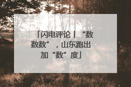 闪电评论丨“数数数”，山东跑出加“数”度