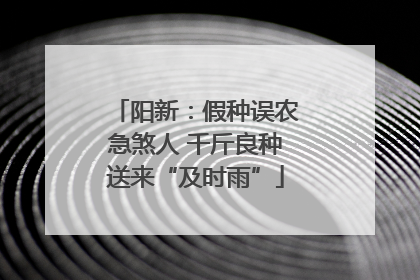 阳新：假种误农急煞人 千斤良种送来“及时雨”