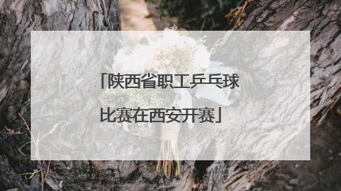 陕西省职工乒乓球比赛在西安开赛