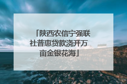 陕西农信宁强联社普惠贷款浇开万亩金银花海
