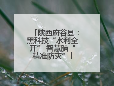 陕西府谷县：黑科技“水利全开” 智慧脑“精准防灾”
