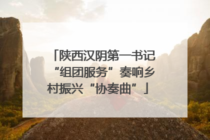 陕西汉阴第一书记“组团服务”奏响乡村振兴“协奏曲”