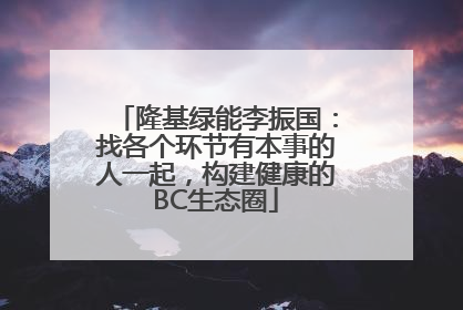 隆基绿能李振国：找各个环节有本事的人一起，构建健康的BC生态圈