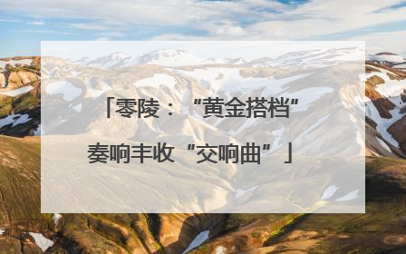 零陵：“黄金搭档”奏响丰收“交响曲”