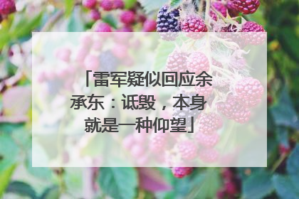 雷军疑似回应余承东：诋毁，本身就是一种仰望