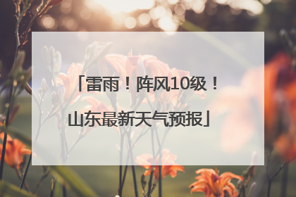 雷雨！阵风10级！山东最新天气预报