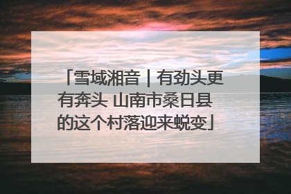 雪域湘音｜有劲头更有奔头 山南市桑日县的这个村落迎来蜕变