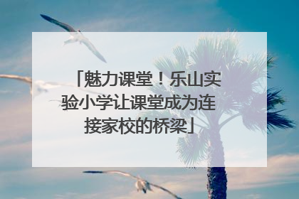 魅力课堂！乐山实验小学让课堂成为连接家校的桥梁