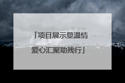 项目展示显温情 爱心汇聚助残行