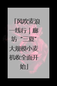 风吹麦浪一线行｜廊坊“三夏”大规模小麦机收全面开始