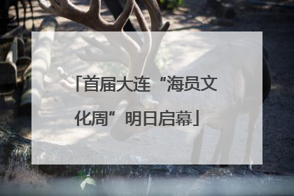 首届大连“海员文化周”明日启幕