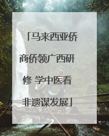 马来西亚侨商侨领广西研修 学中医看非遗谋发展