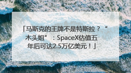 马斯克的王牌不是特斯拉？“木头姐”：SpaceX估值五年后可达2.5万亿美元！